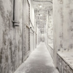 5階 ヴィンテージエリア